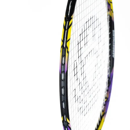 Ракетка бадм. TORRES Carbon PRO6, BD20521,для продв., стерж/обод из карбона,со струнами, фиол за 4&nbsp;477.80 ₽ купить в Иркутске
